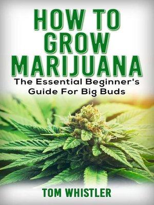 cover image of How to Grow Marijuana